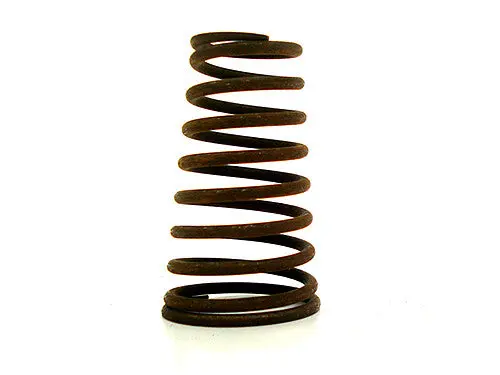 Gear Selector/Detent Spring 100750 1