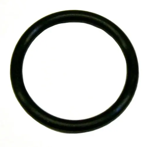 'O' Ring 101027 1