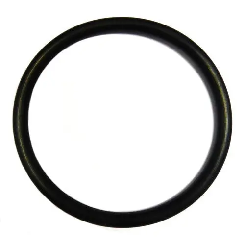 Flywheel O'ring 103021 1