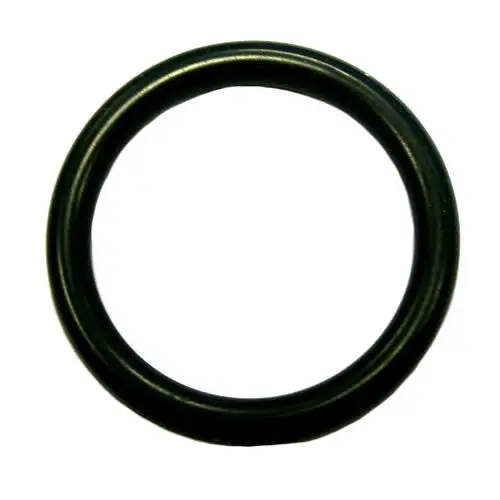 Drysump Oil Pump 'O' Ring 105556 1