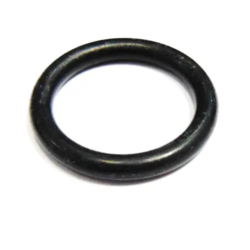 Main Shaft O Ring 109724 1