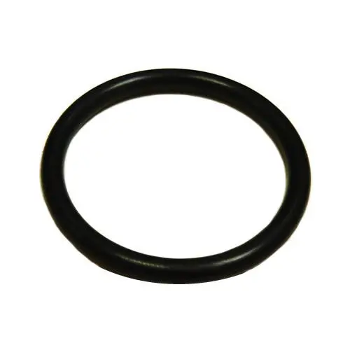 Locating Dowel O Ring 123263 1