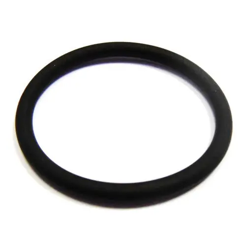 Variator Oil Filter 'O' Ring 134233 1