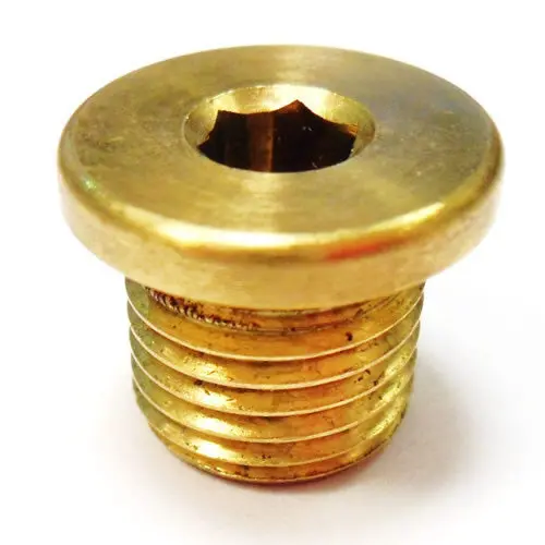 Crankcase Drain Plug 150731 1