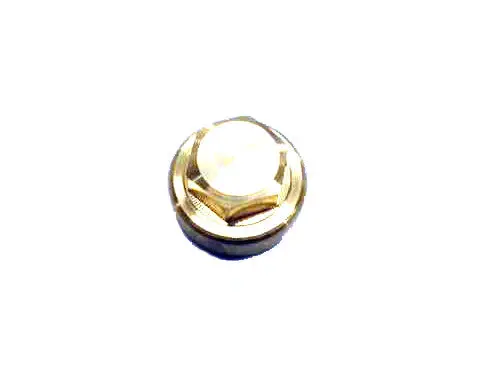 Threaded Brass Cover Nut 24606200 1