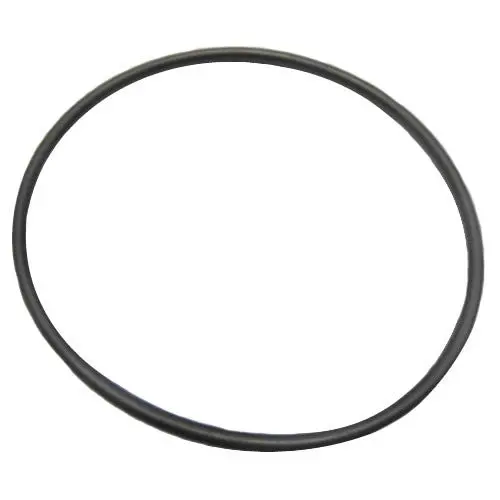 Rear Bearing Carrier 'O' Ring 95860086 1