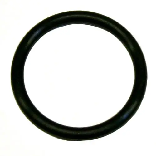 'O' Ring 95860103 1