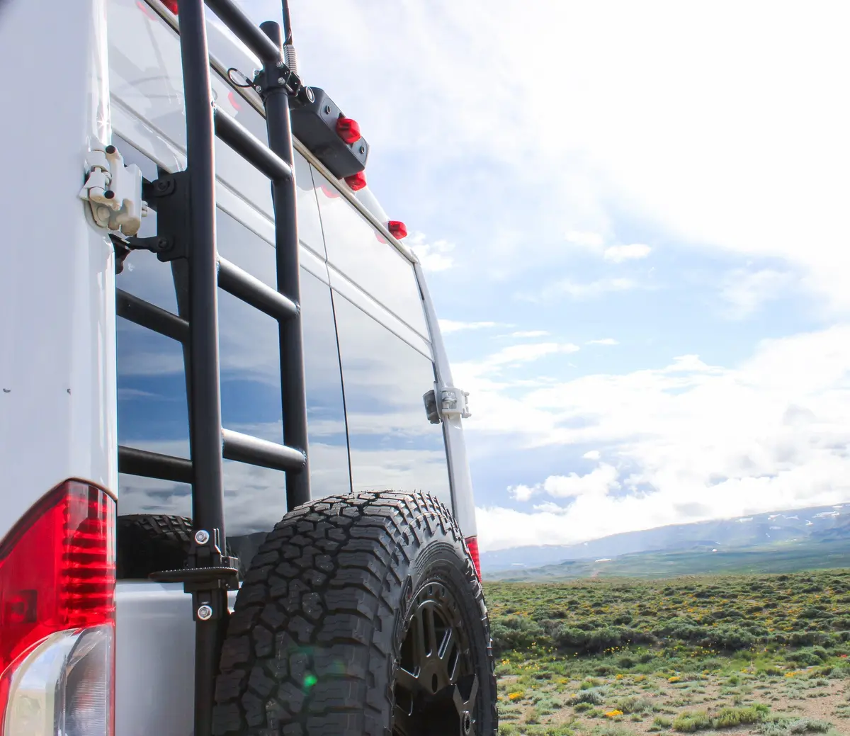 Aluminess 2014+ Ram Promaster Rear Door Ladder 1