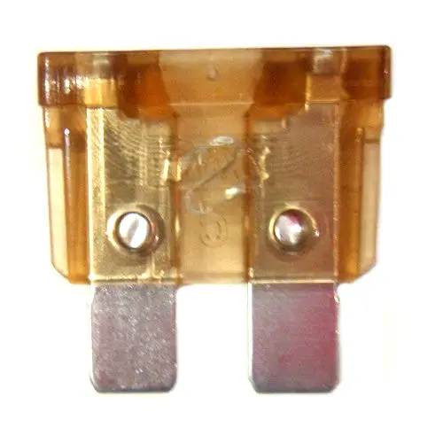 5 Amp Fuse F5.0A 1
