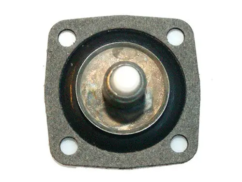 Pump Diaphragm 24609005 1