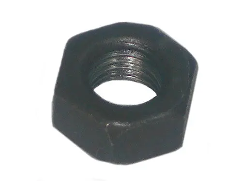 Oil Pump/Filter Nut 24616215 1