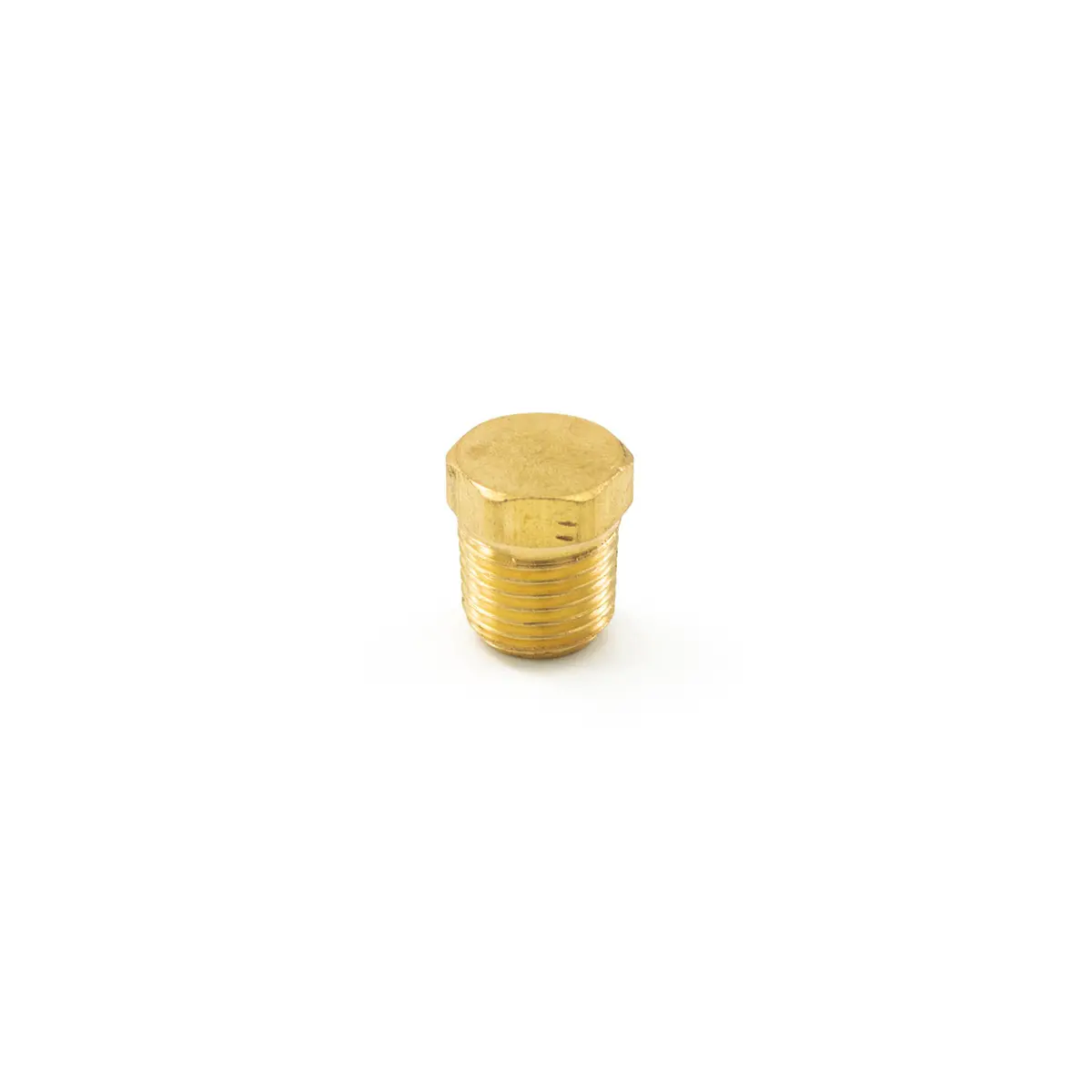 1/8" Npt Brass Plug 1