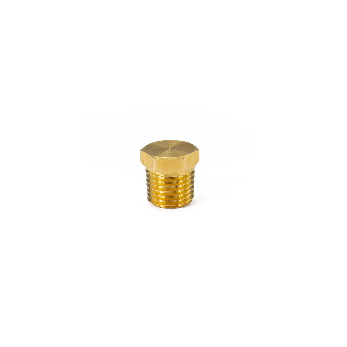 1/4" Npt Brass Plug 1