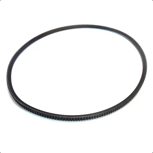 Alternator Belt (288: Gto) 	122004 1