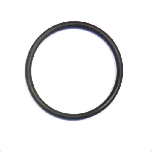 Speedo Drive O Ring (246: Gt Series 1/L) 	95860045 1