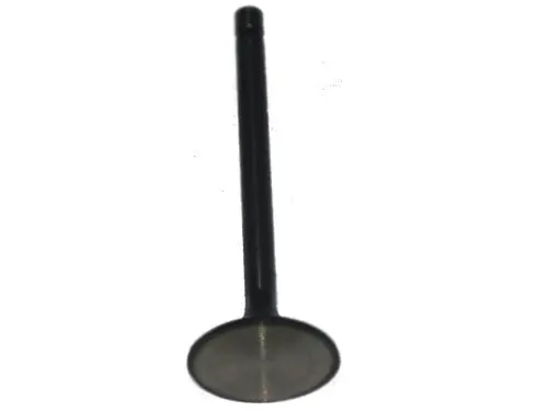 Exhaust Valve V1215006 1