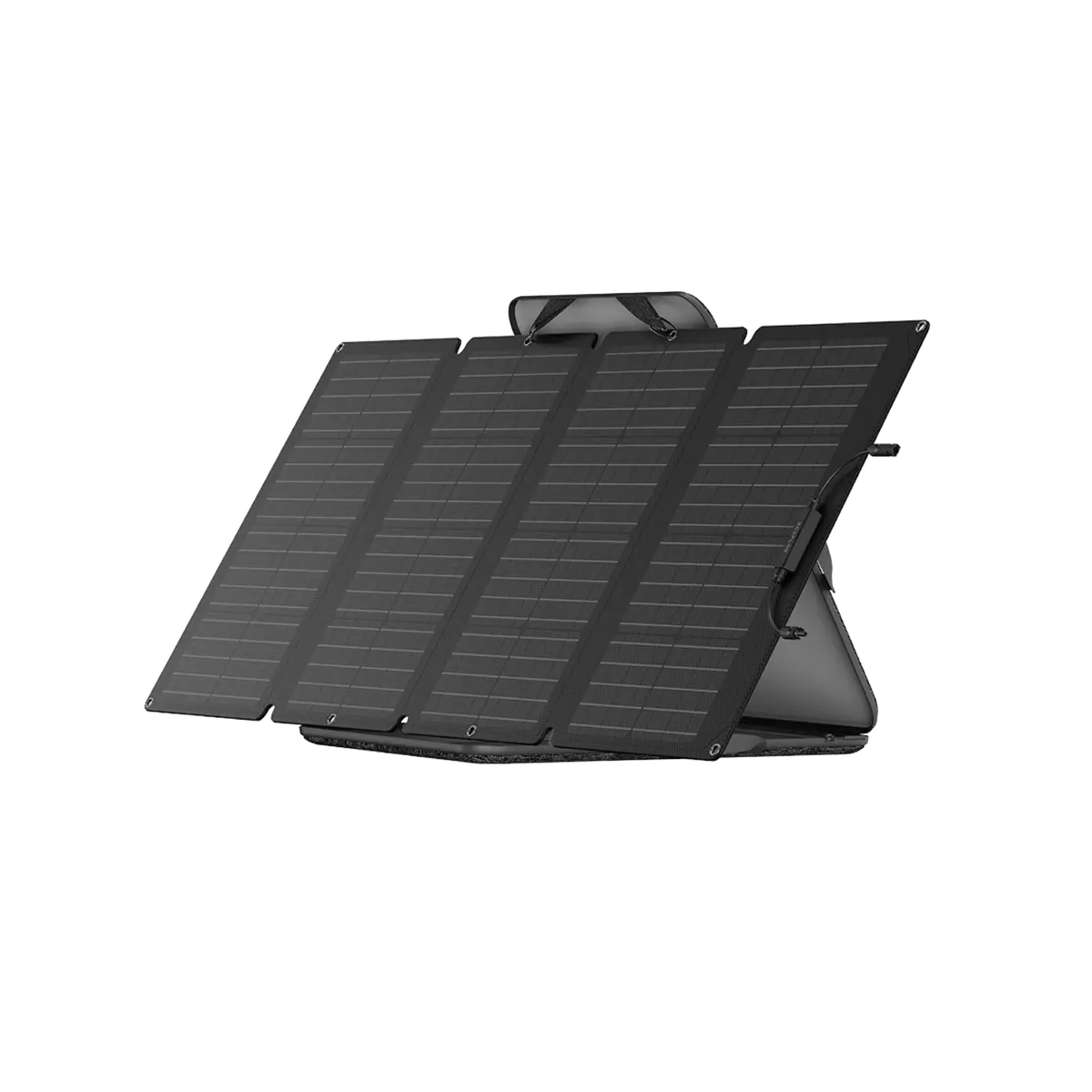 Ecoflow 160W Portable Solar Panel 1