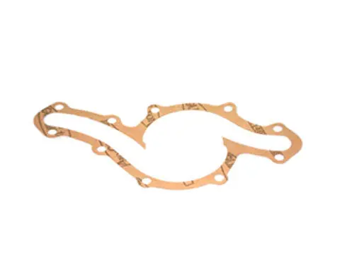 Water Pump Gasket 4157422 1