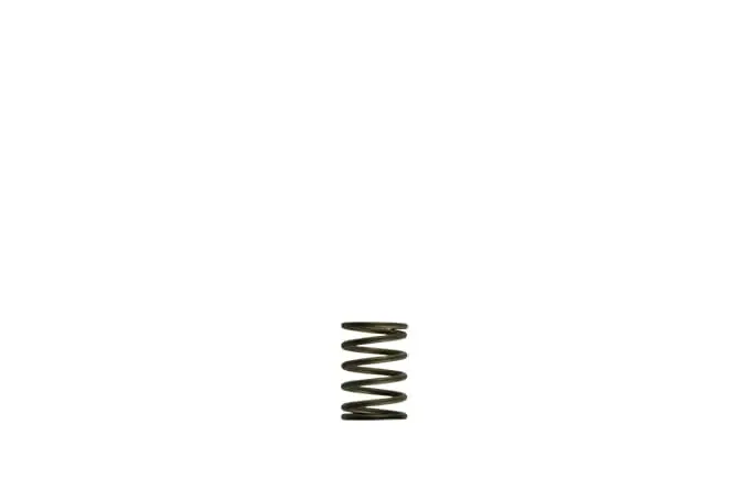 Genv Wg38/40 3 Psi Boost Control Inner Spring – Black Anodized 1